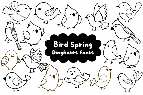 Bird Spring Font Review